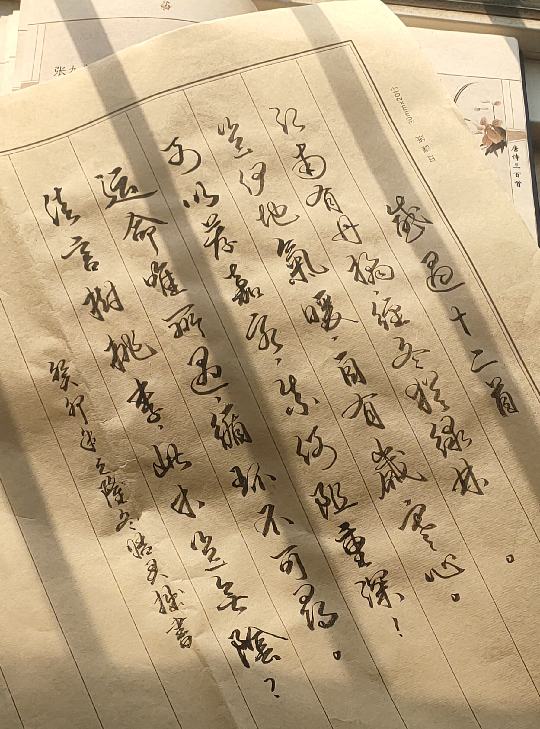 感遇十二首·其七 唐·张九龄 江南有丹橘,经冬犹绿林. 岂伊地气暖?