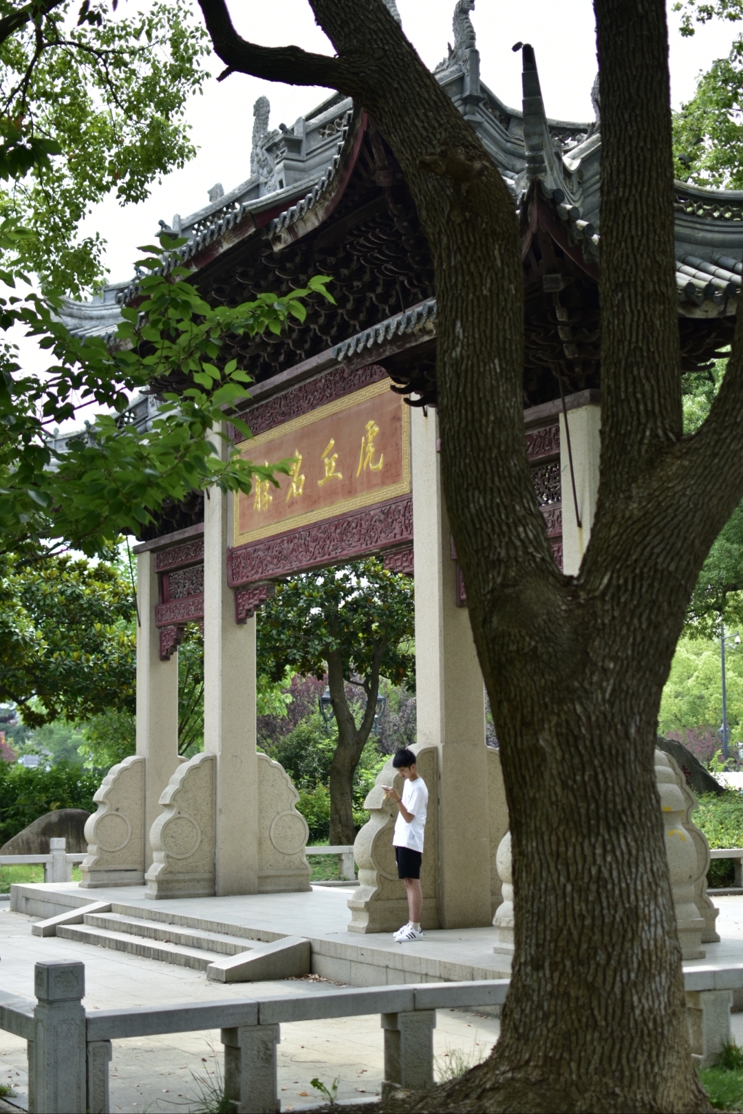 《虎丘塔》原名云岩寺塔.因位于江苏省苏州市虎丘山上,俗称虎丘塔.