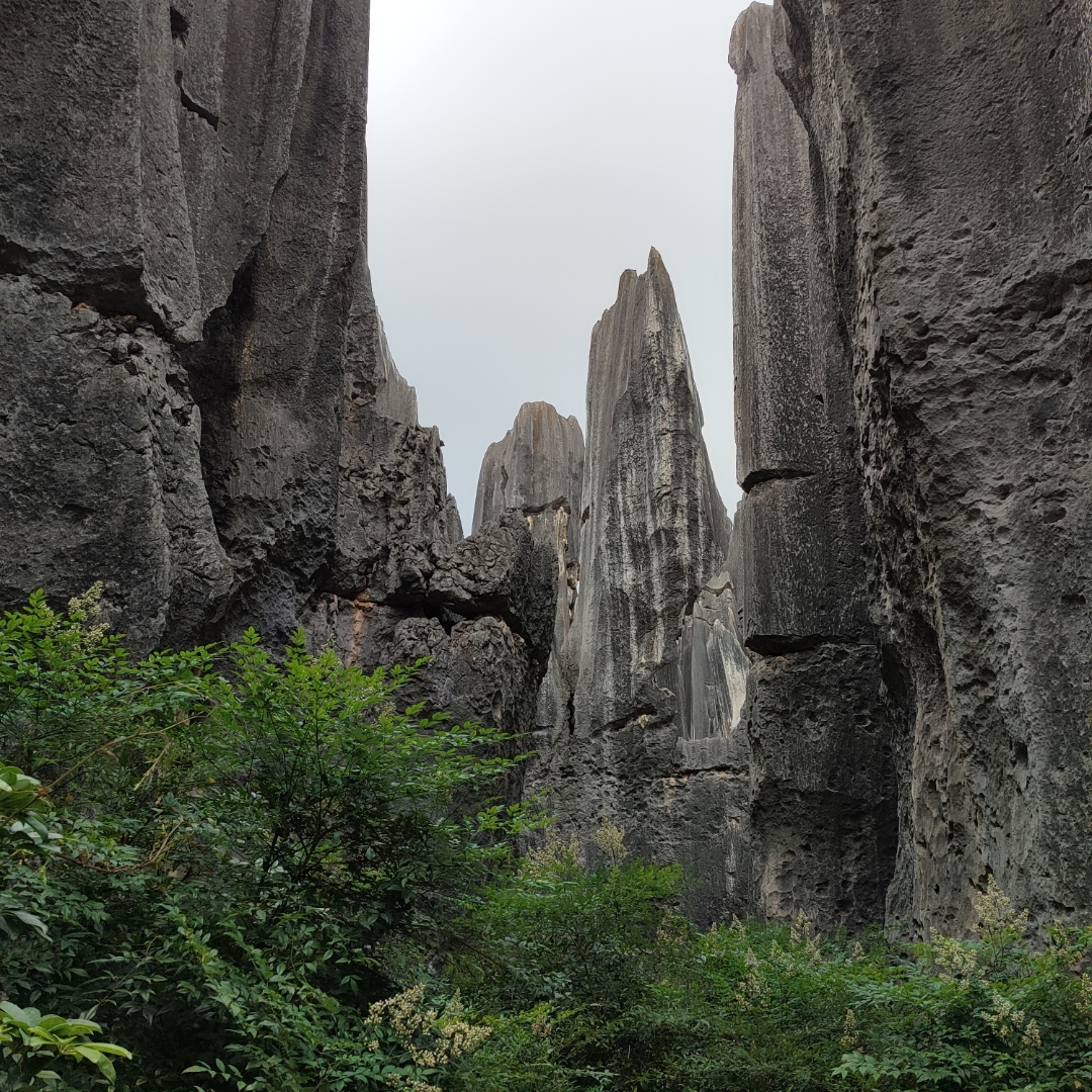 《昆明石林》又称为云南石林,位于昆明市石林彝族自治县境内,距离云南