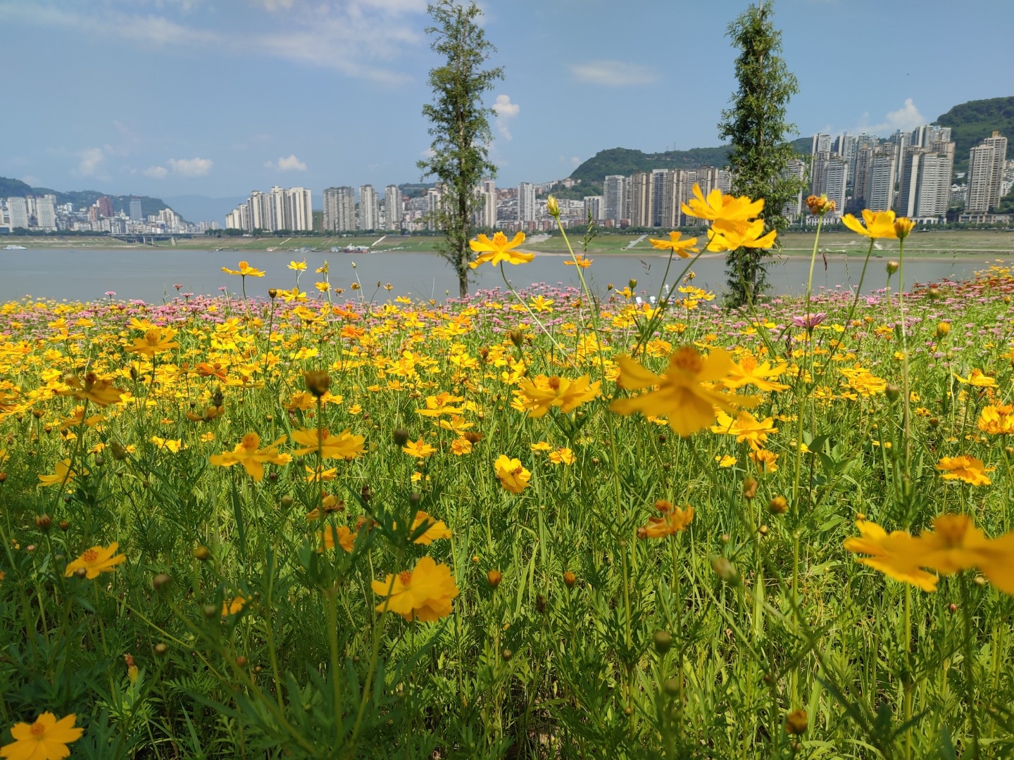 《万州南滨公园》位于重庆万州主城区内长江南岸的江南新区江畔,北望