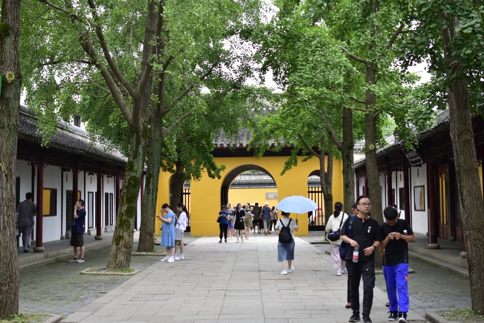 《虎丘塔》原名云岩寺塔.因位于江苏省苏州市虎丘山上,俗称虎丘塔.