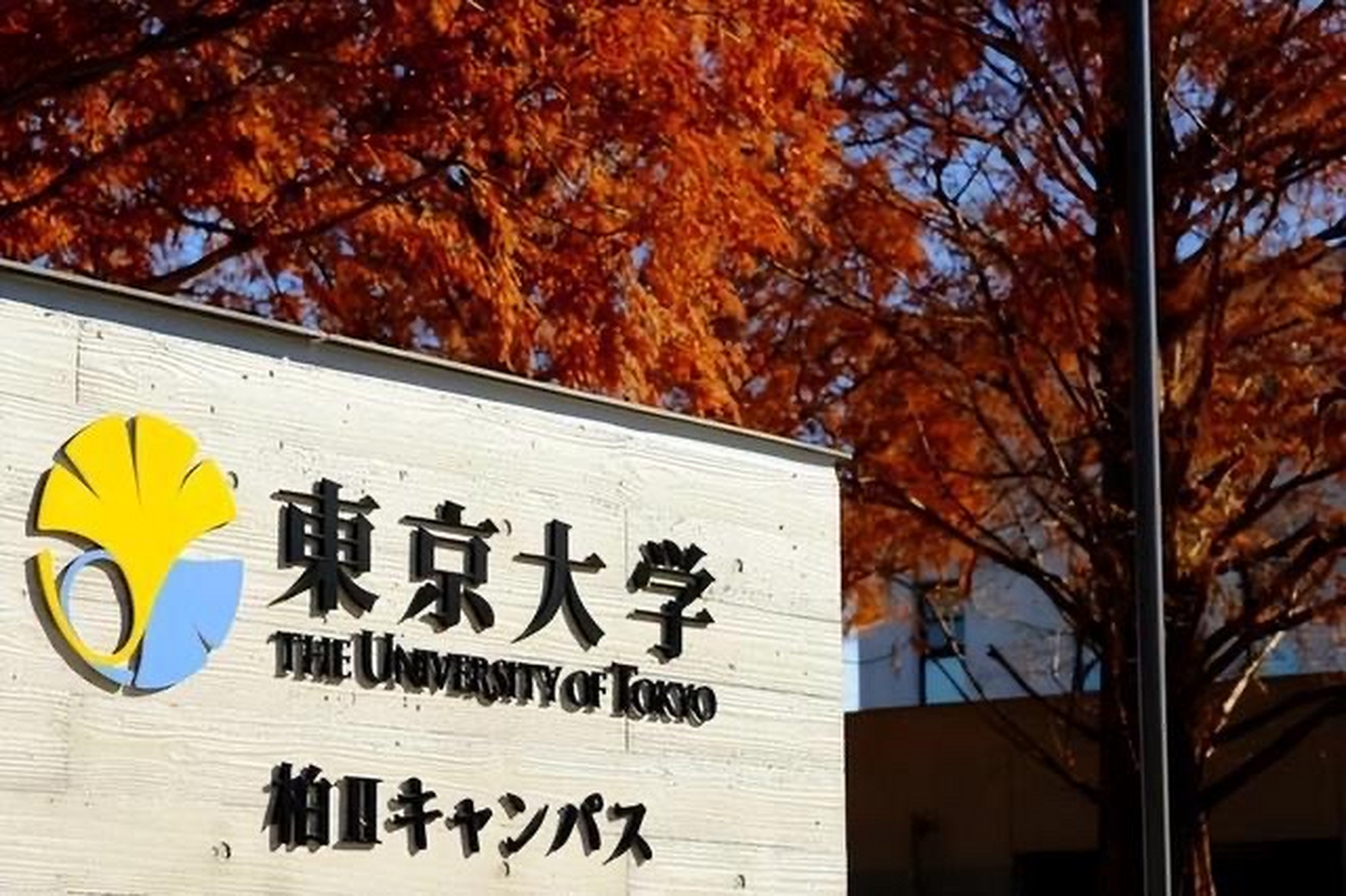 商丘市 - 日本（3天）FedEx单号：8822****0077