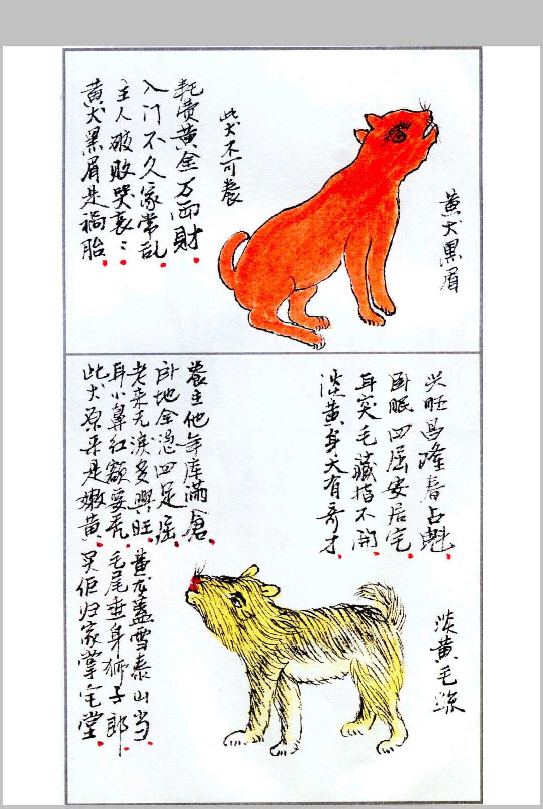 古籍《相犬大全》图片