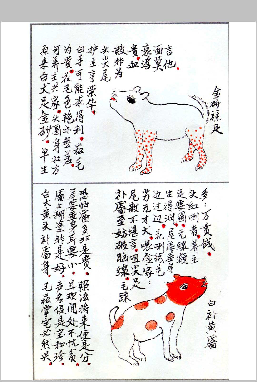 《相犬大全》是一本关于相狗秘诀的古籍,其中记载了大量关于中国传统
