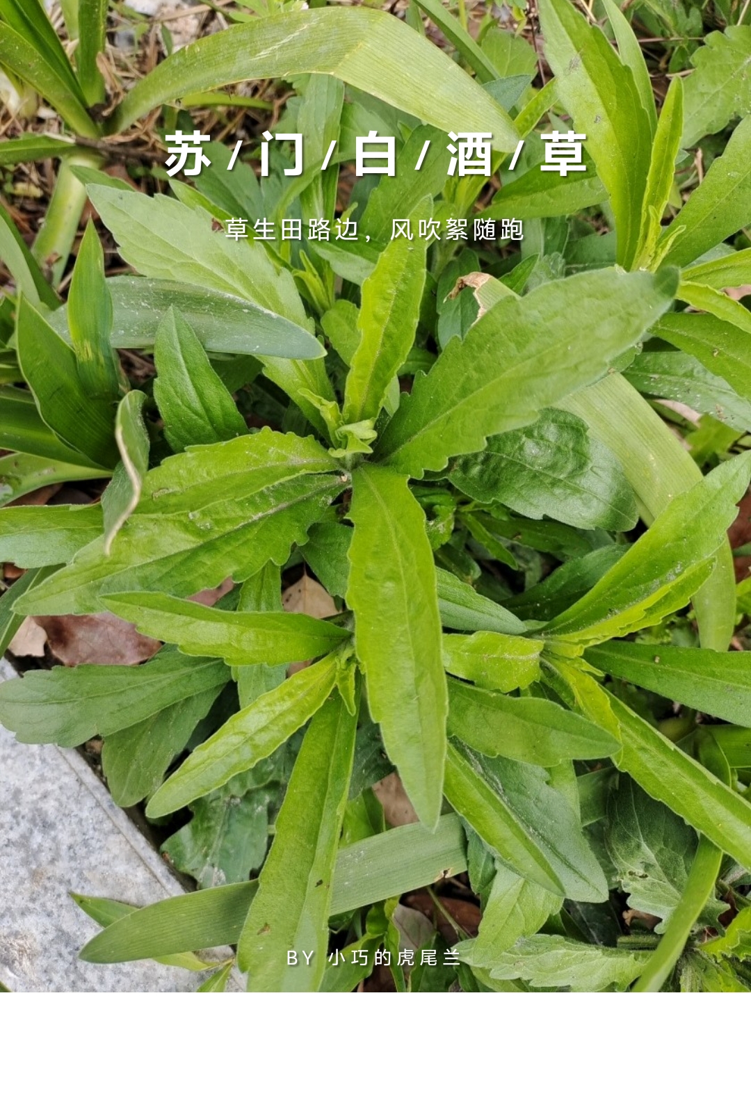 或许,一些光熄灭,然后,另一些光会被点亮