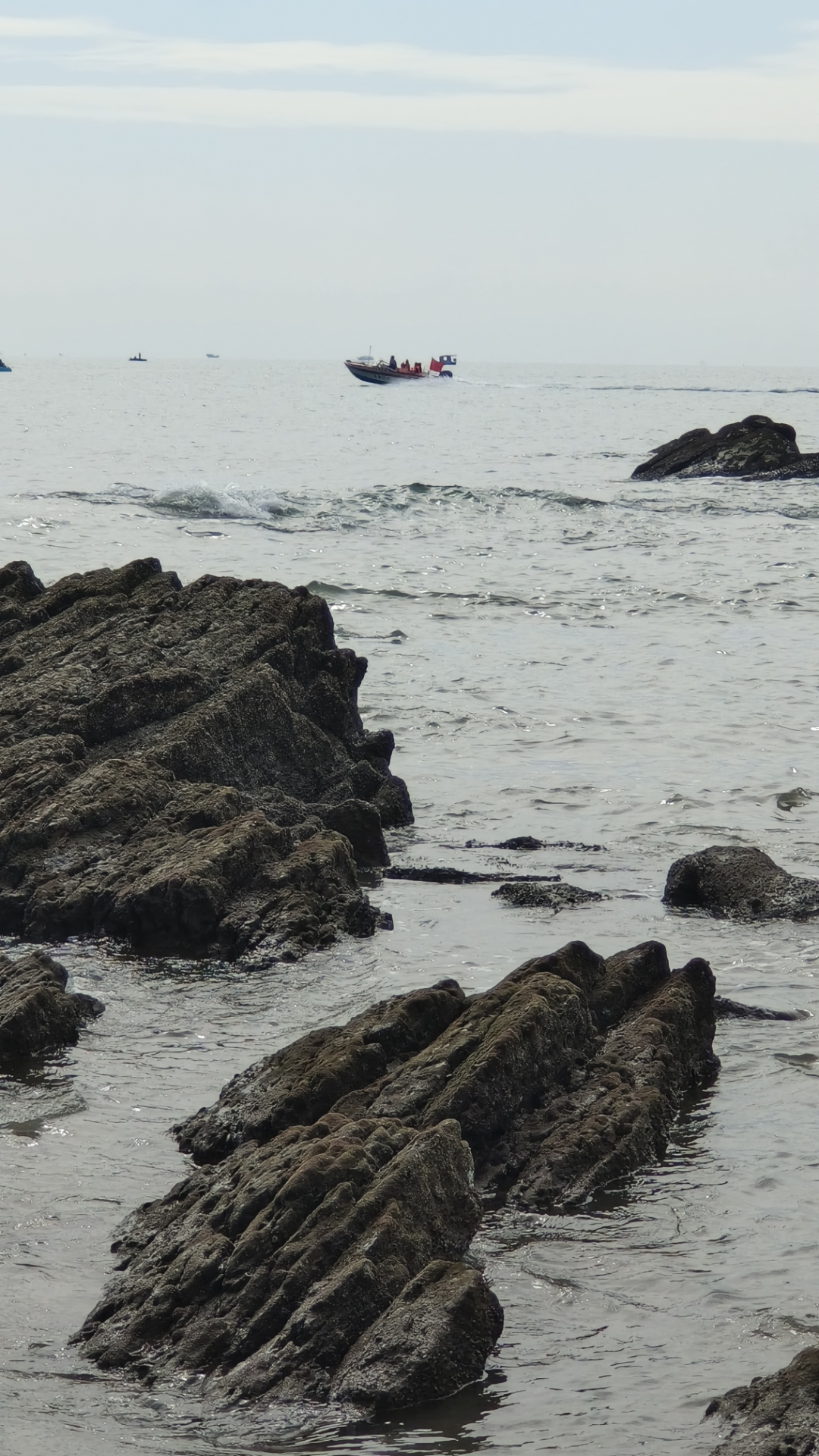今天是个好日子,我们一起迎春天. 今天是个好日子,组成家庭铸幸福