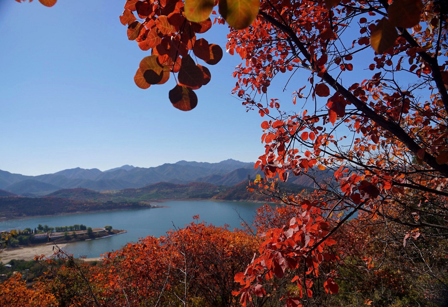 金海湖黄草洼村山顶—观红叶湖光