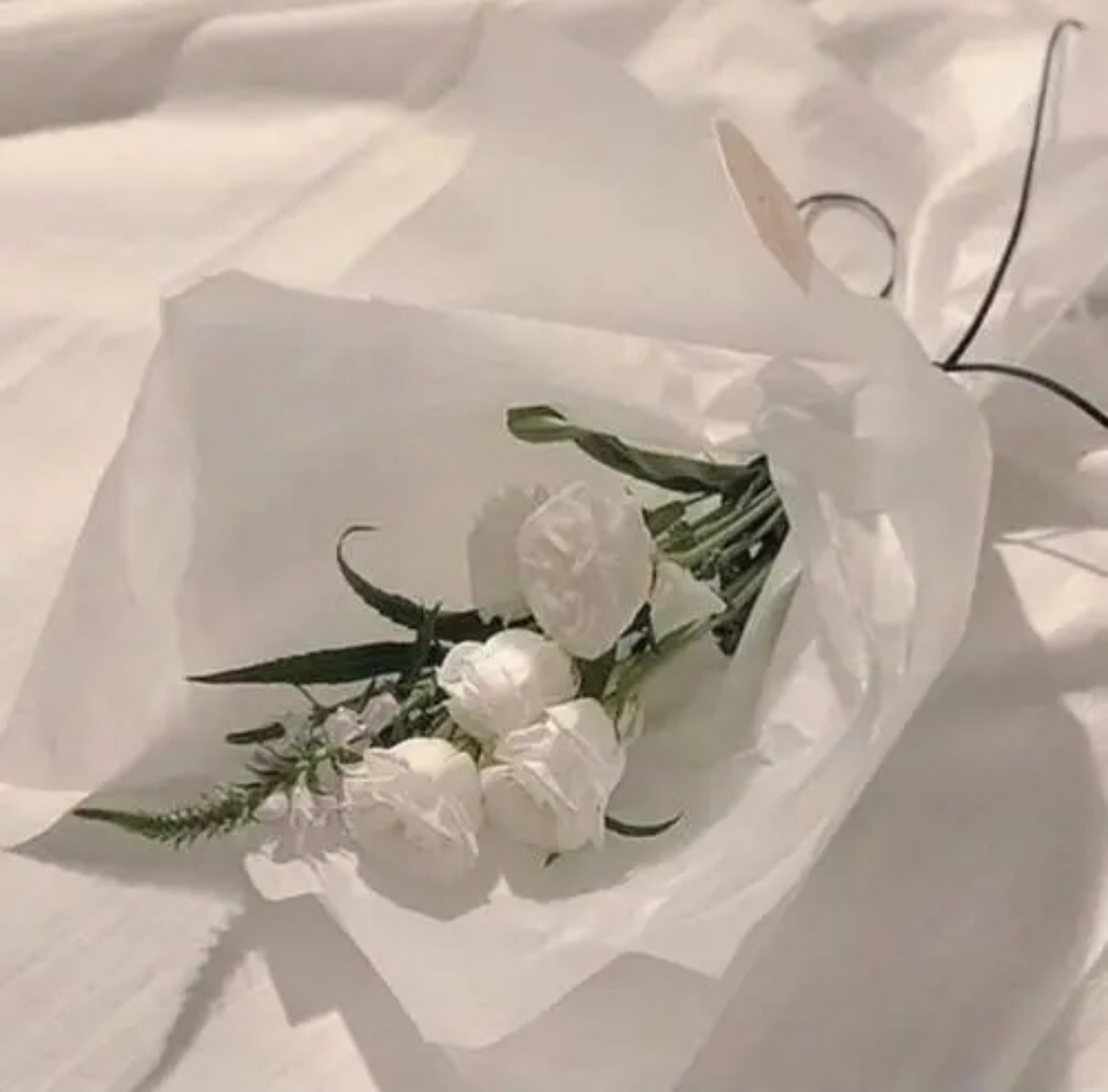 白色系ins风图片