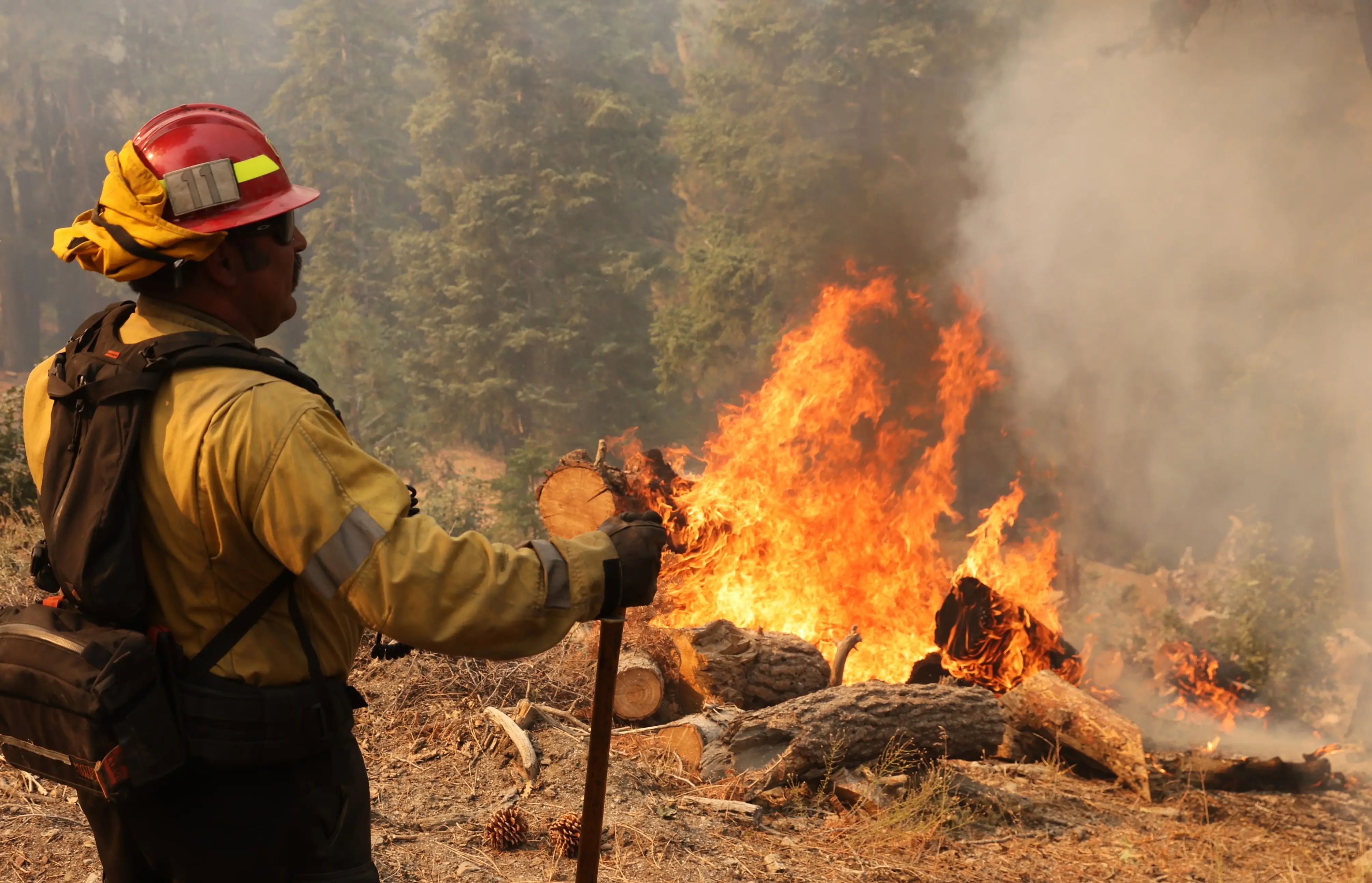美国加州已经动用监狱囚犯以帮助灭火