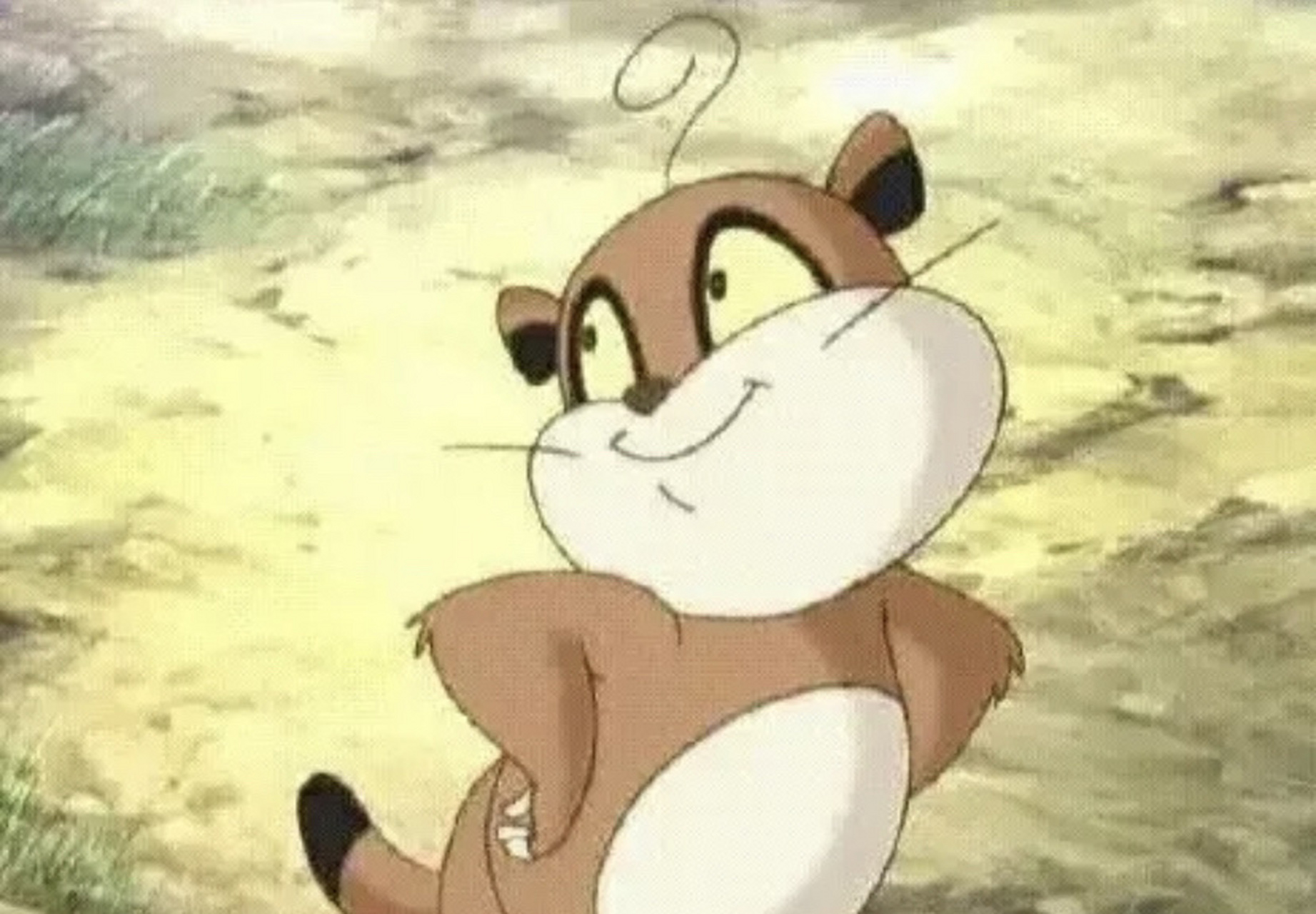 小猪熊 c.小浣熊