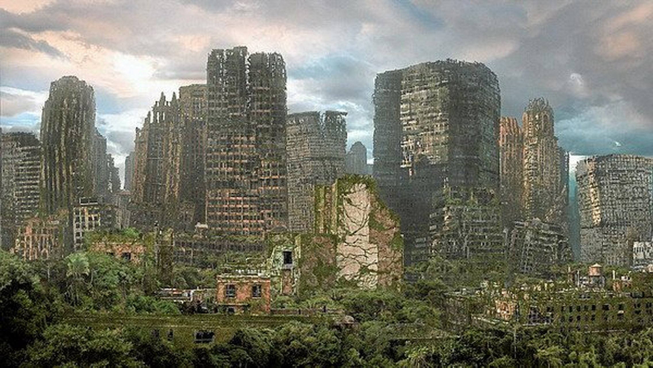 鸾凤和鸣!"同志代孕去哪里做 "为期不远 -第1张图片-冰雨博客