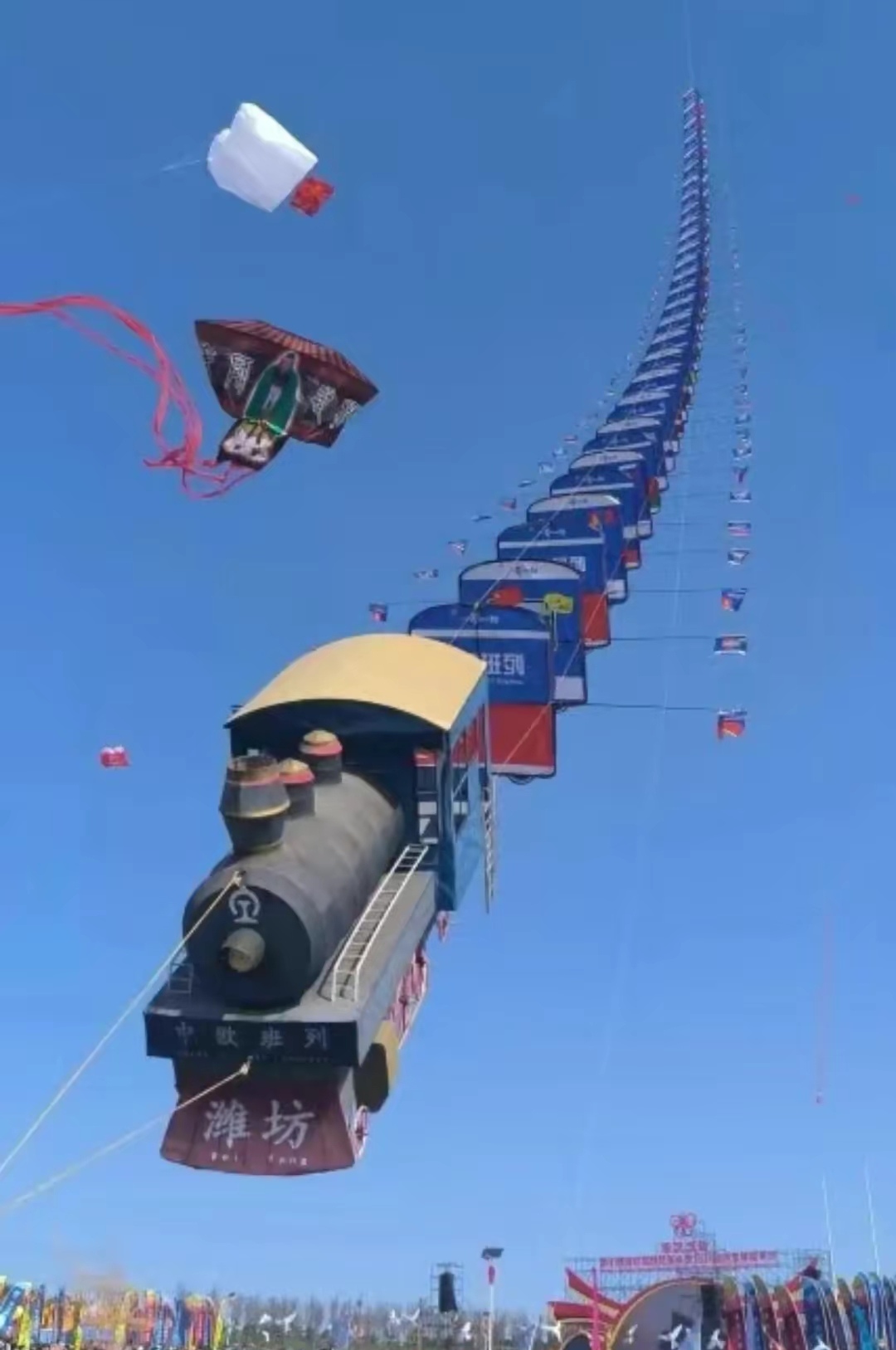 潍坊风筝节# #第41届潍坊国际风筝会