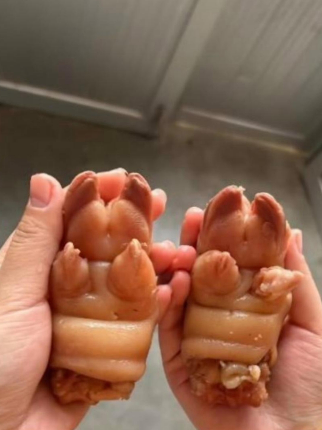 照片小猪蹄可爱图片猪蹄图片大全高清图片搞笑想吃猪蹄的搞笑图片吃