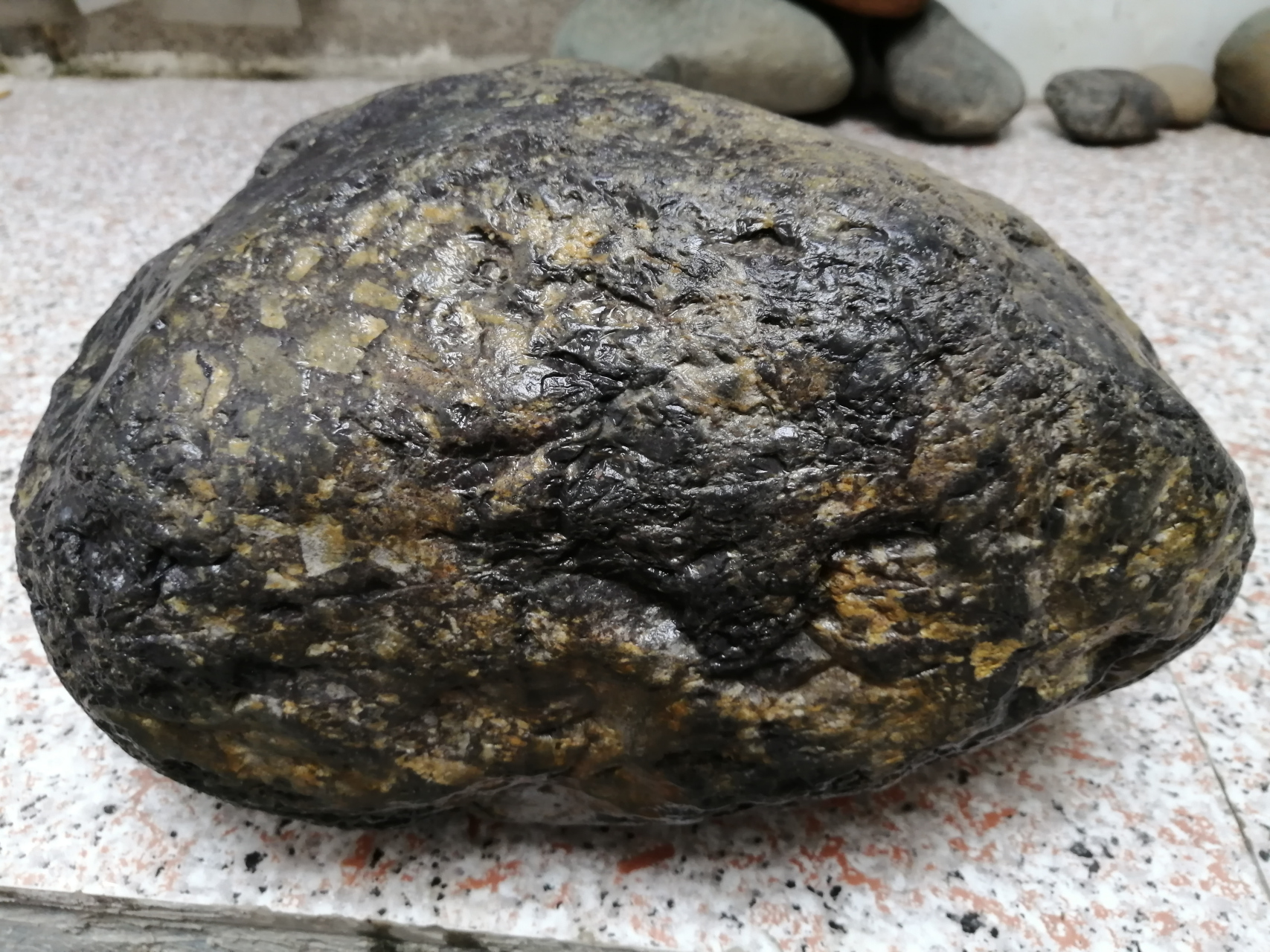 碳质石陨石重34.15公斤