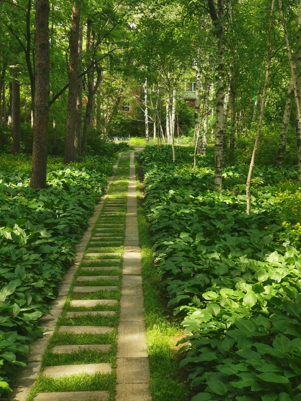 哈尔滨森林植物园图片图片