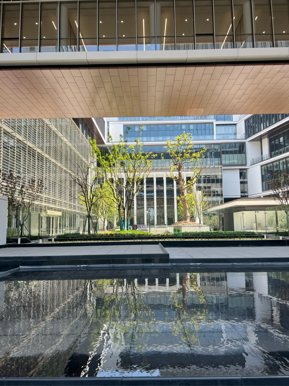 nyu shanghai  上海纽约大学.邻前滩太古里,前滩香格里拉.