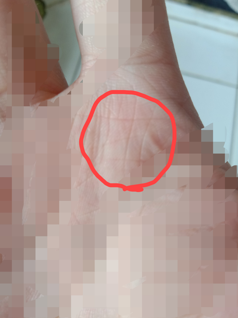 巽宫田字纹主权,巽宫无肉就是志大才疏 掌纹是可以改变的.