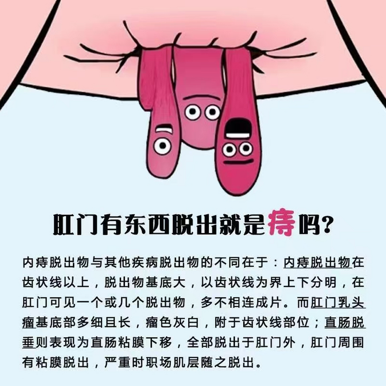 内痔脱出 女性图片