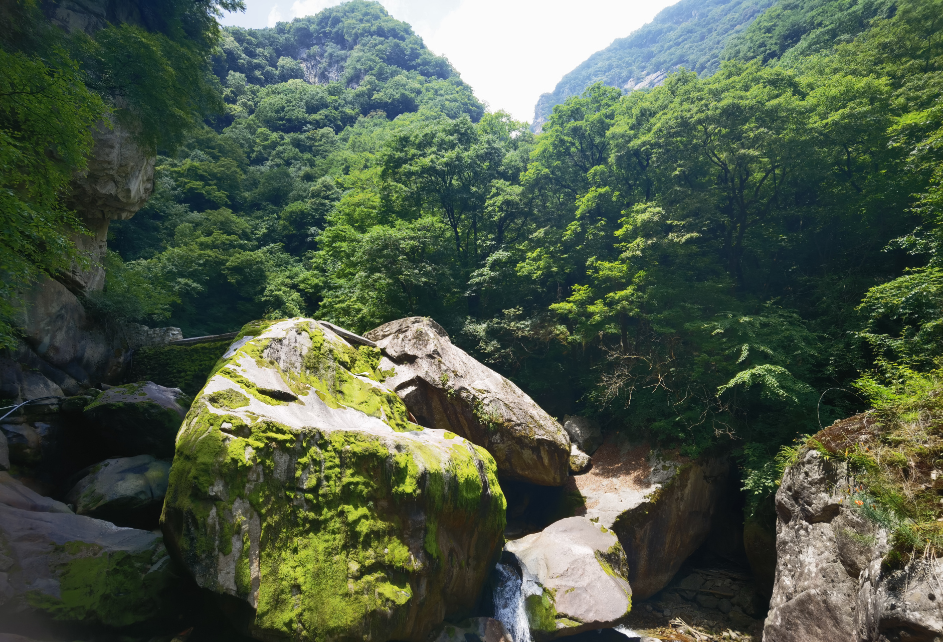 太白山国家森林公园图片