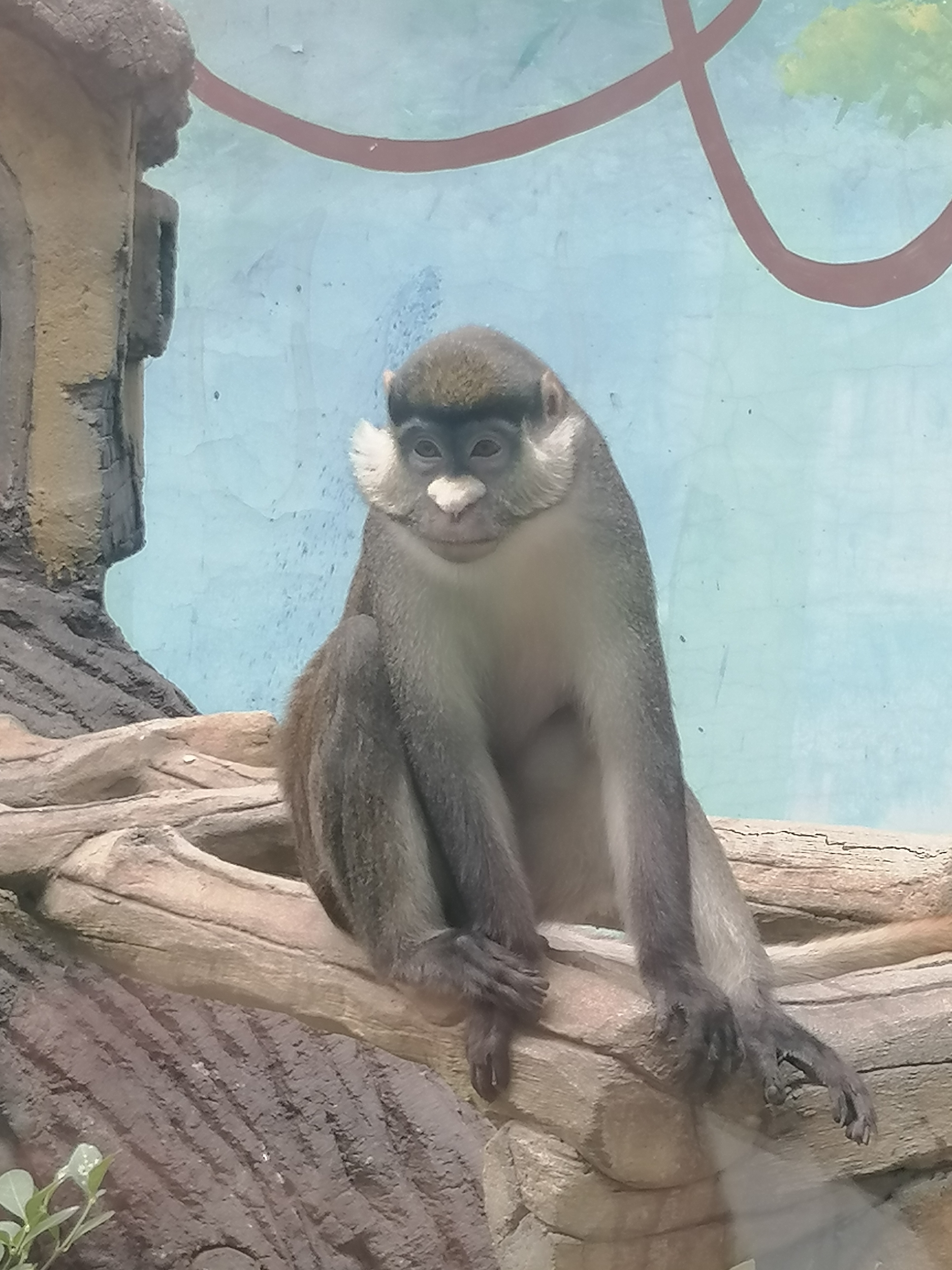 济南动物园一日游