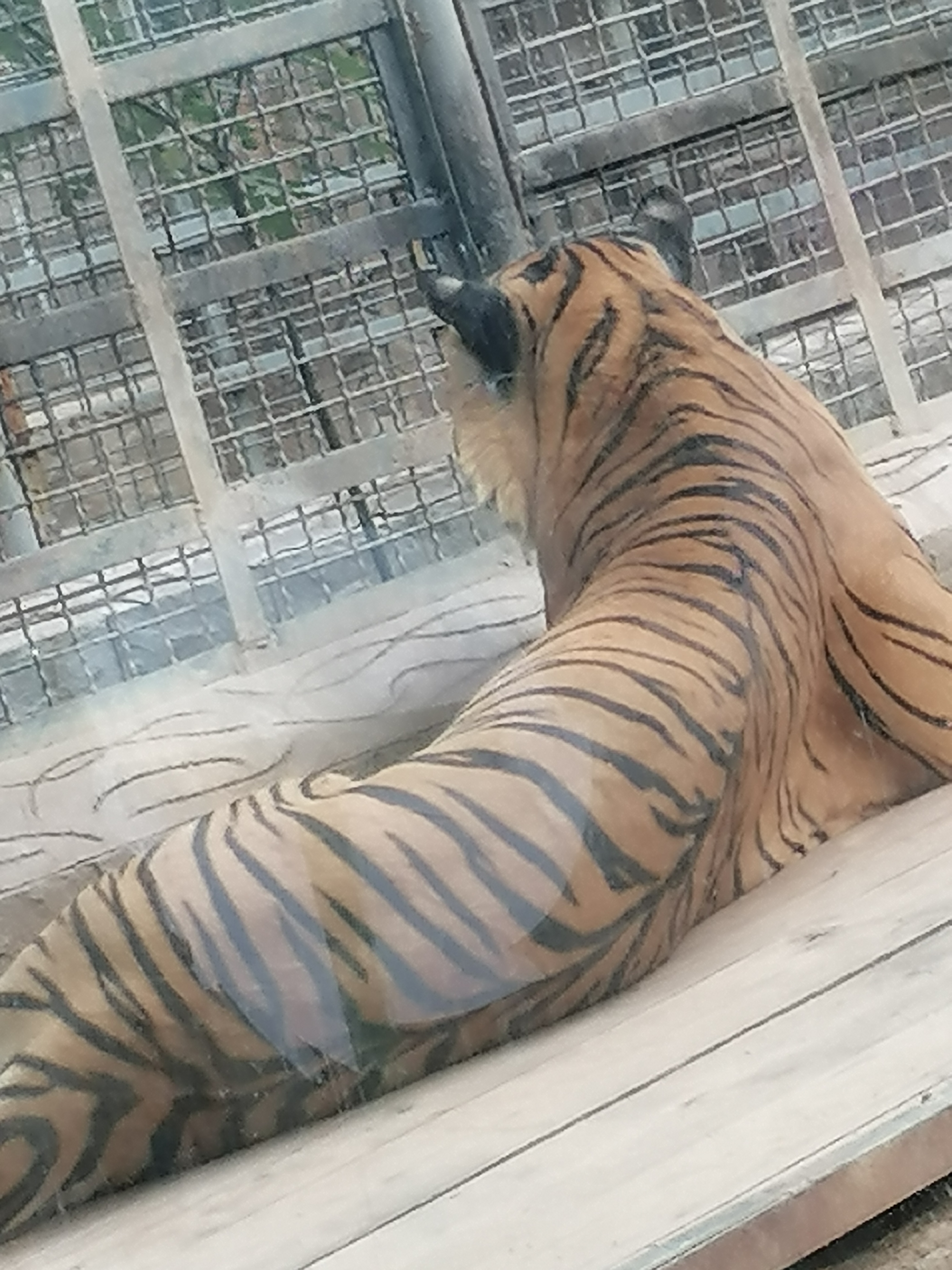 济南动物园一日游