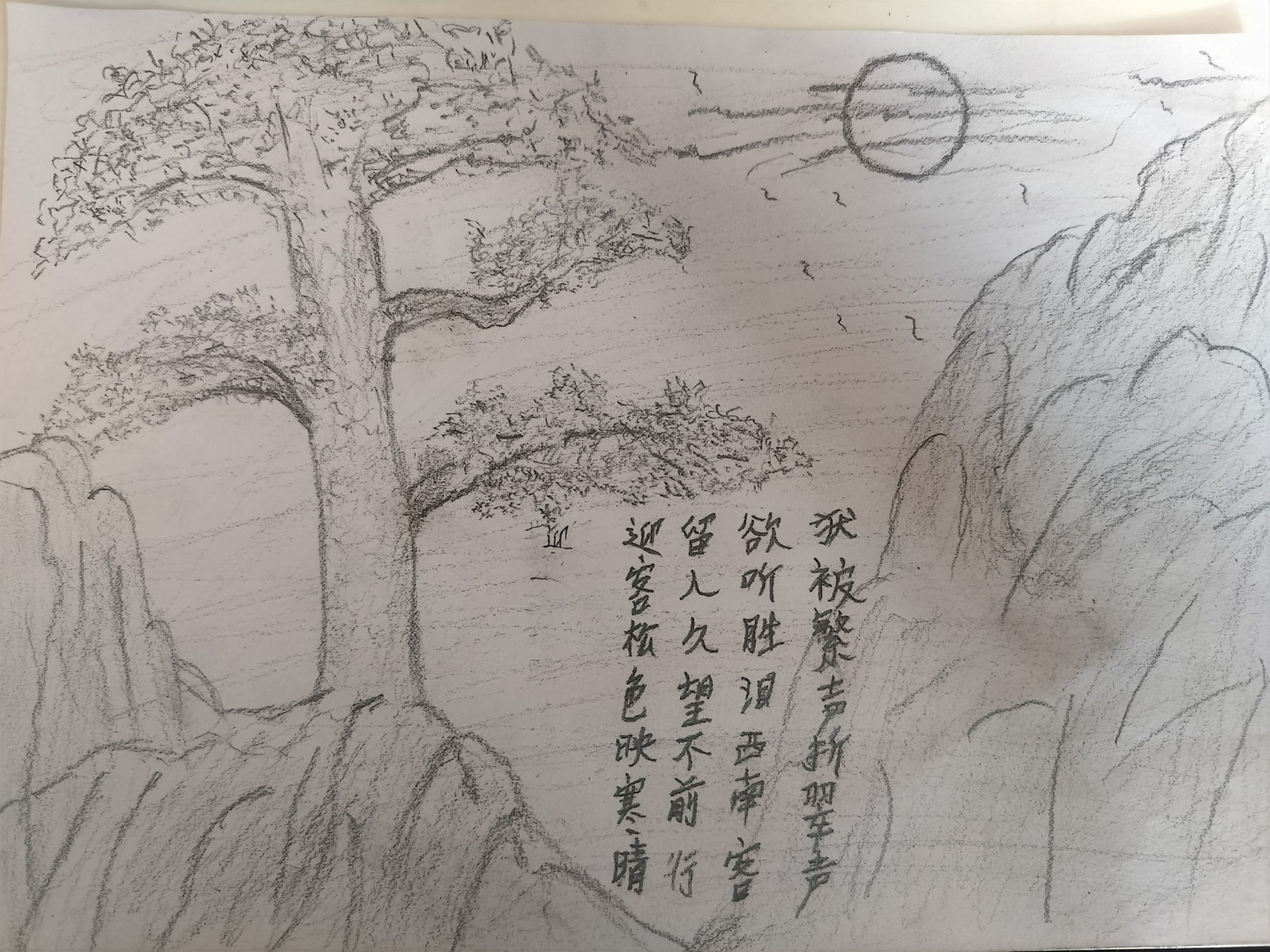 素描迎客松图片图片