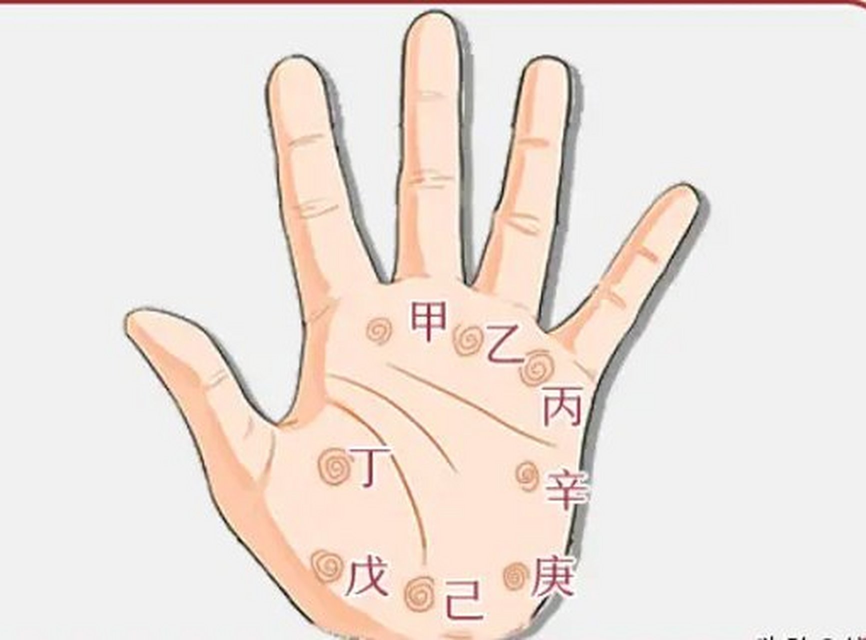 手掌心中出现君纹,以所在宫位的不同,意义也不同.
