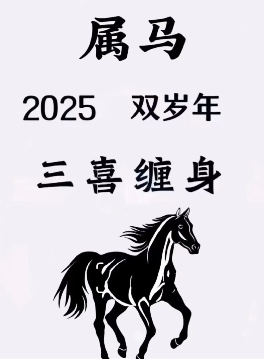 家中若有属马之人恰似幸运之星在畔
