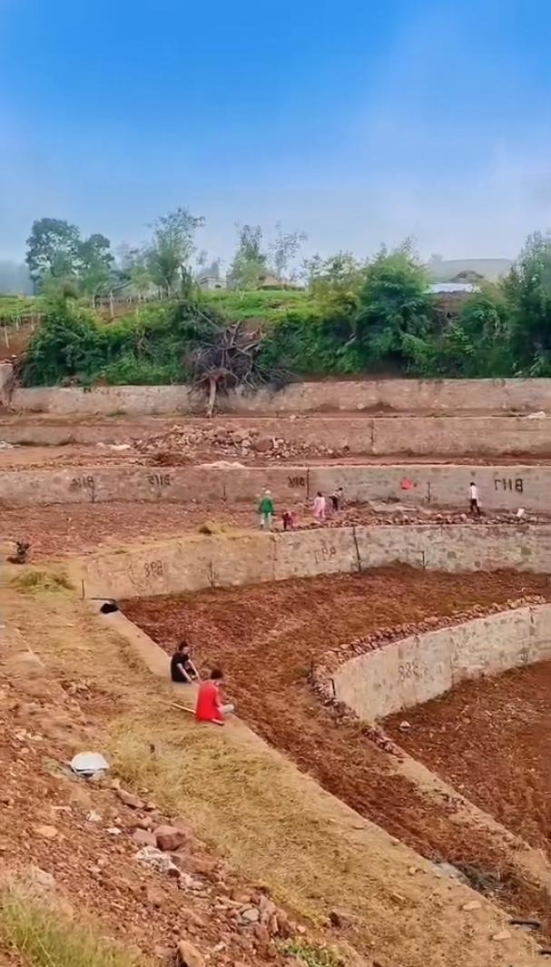 这里的土地十分平整,田坎是由石头和水泥精心堆砌而成,无比结实牢固.