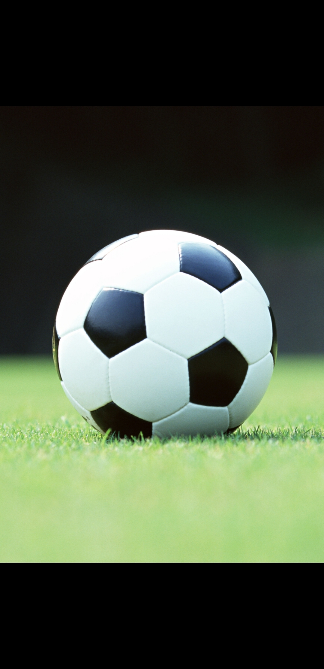 希望艾菲尔丁,木塔力甫也能进囯家队