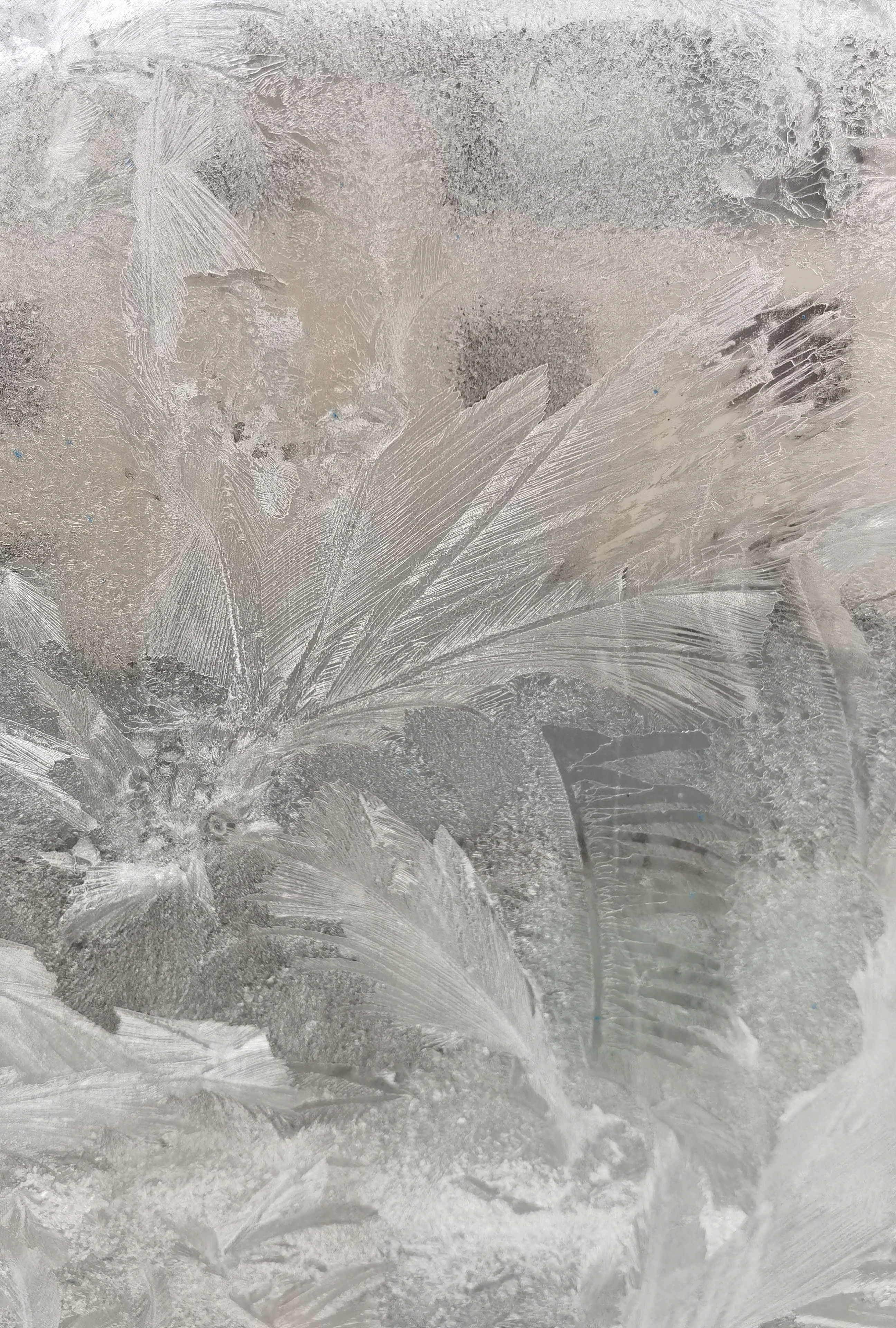 拍摄冰花摄影教程图片,技巧大全 拍摄冰花摄影教程图片,技巧大全