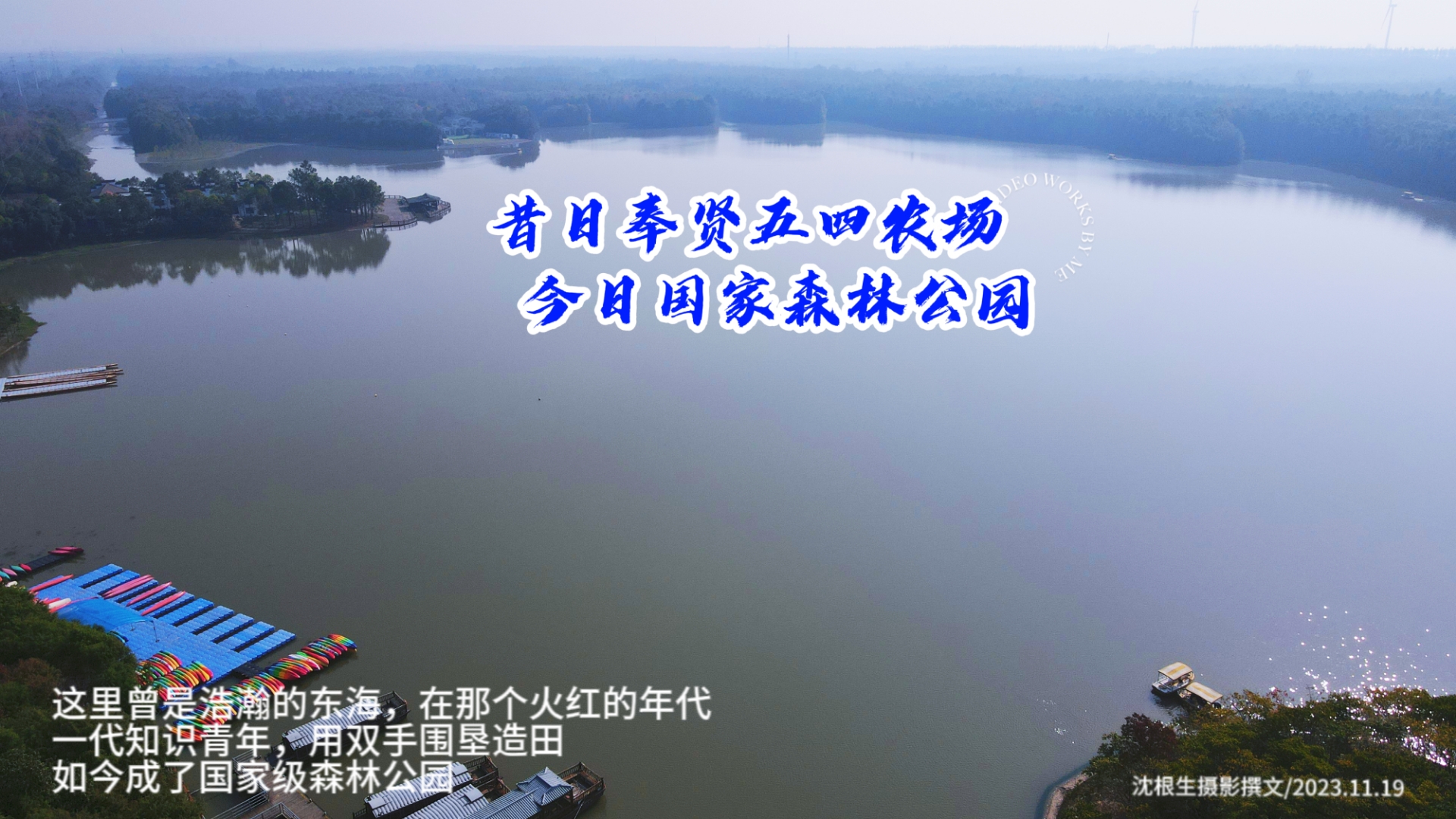 昔日奉贤五四农场, 今日国家森林公园. ​每日一图,手机随拍