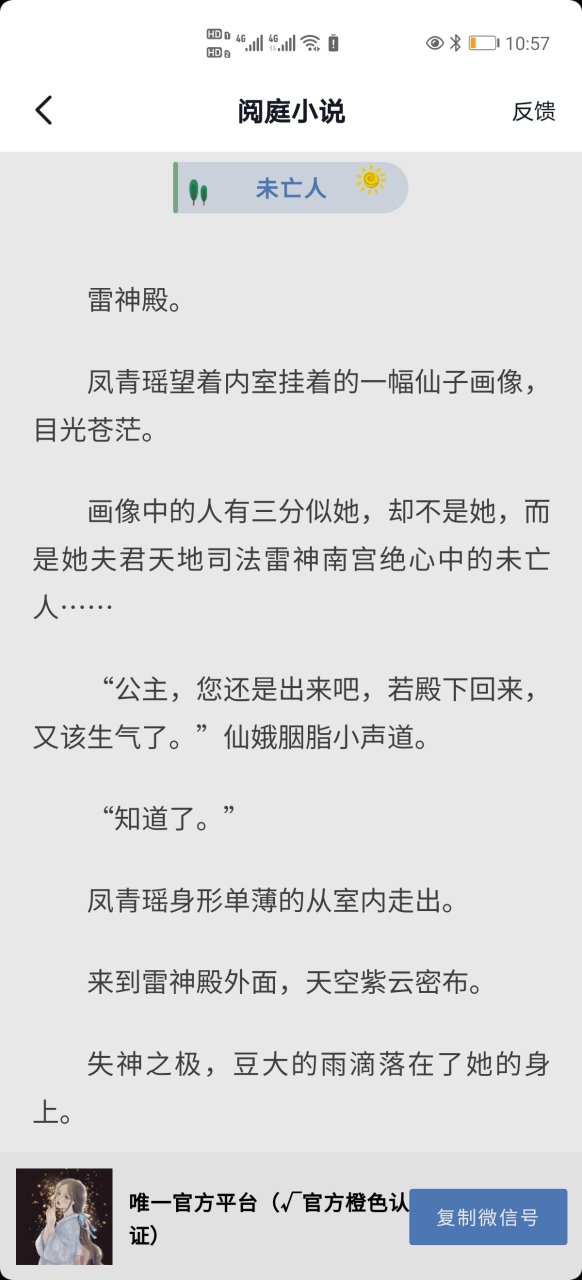 抖音仙侠完结短篇小说《凤青瑶南宫绝》【凤族公主/雷神】短篇小说凤