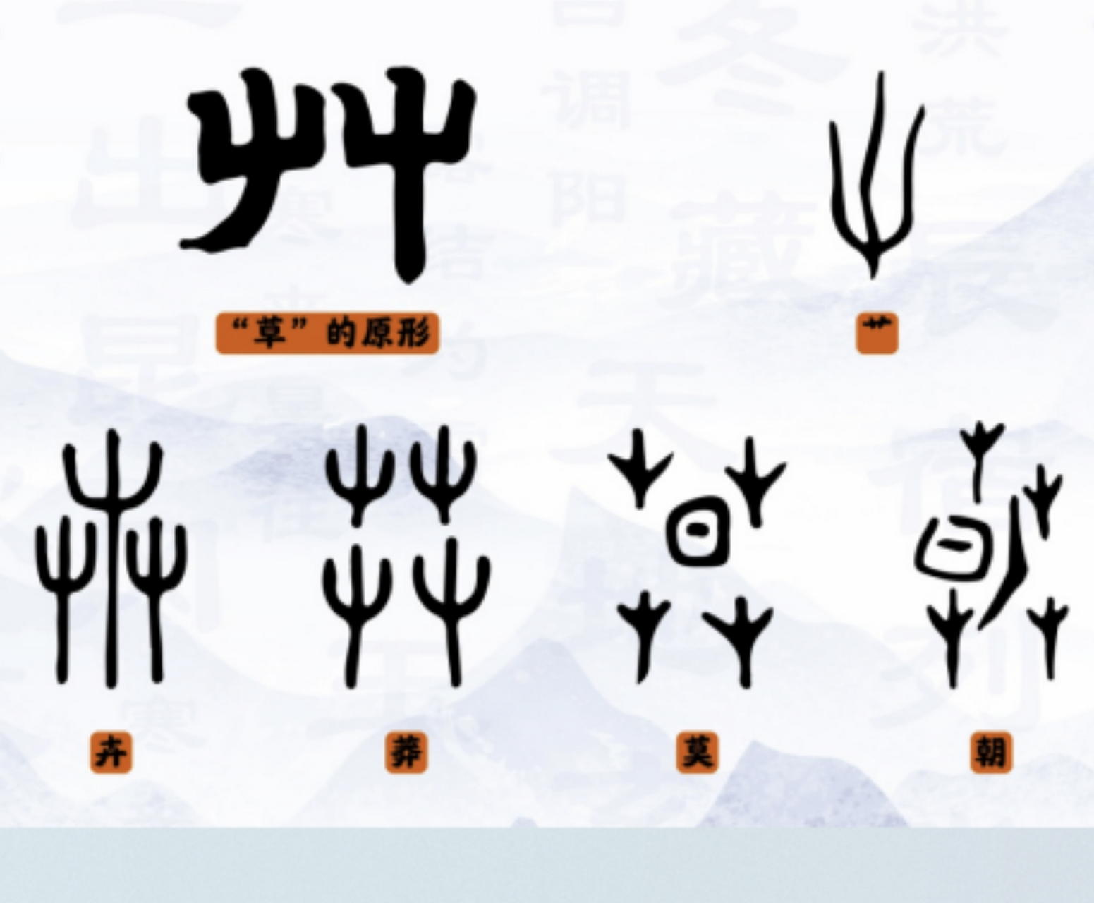 声旁是早晚的"早",形旁是草字头