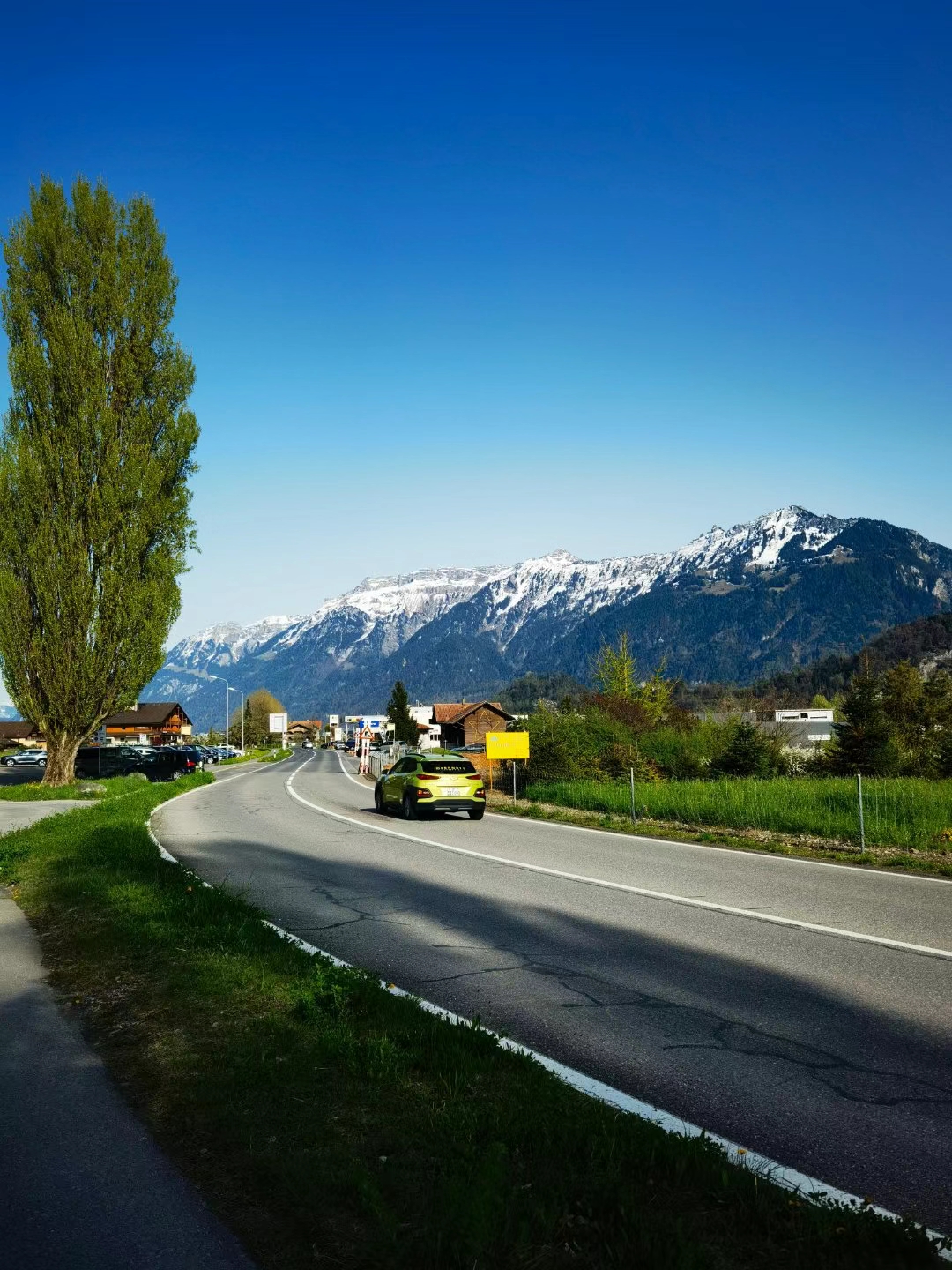 道路两旁绿意盎然,树木和草地交织成一幅生机勃勃的画卷