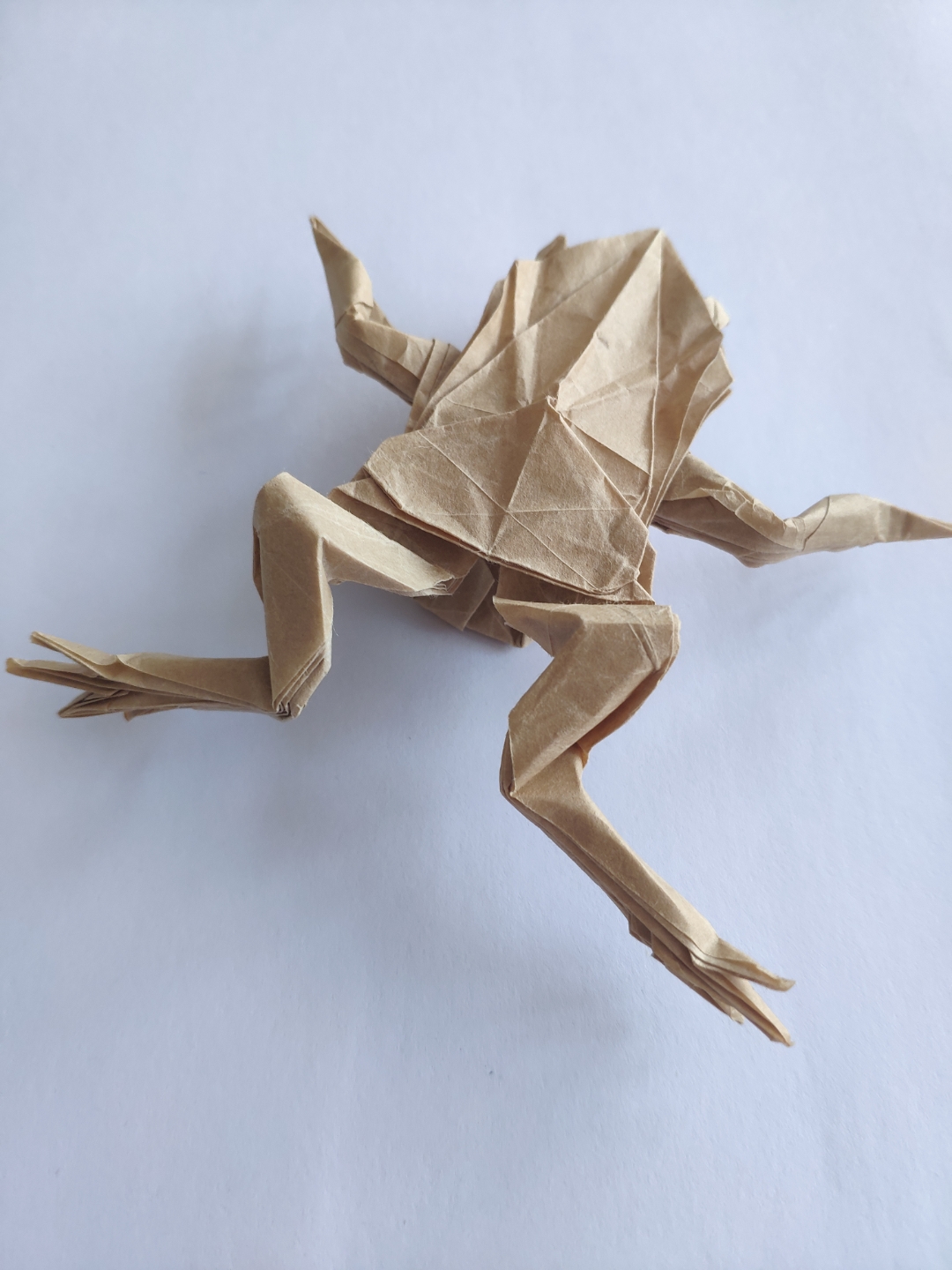 折纸搬运树蛙图片
