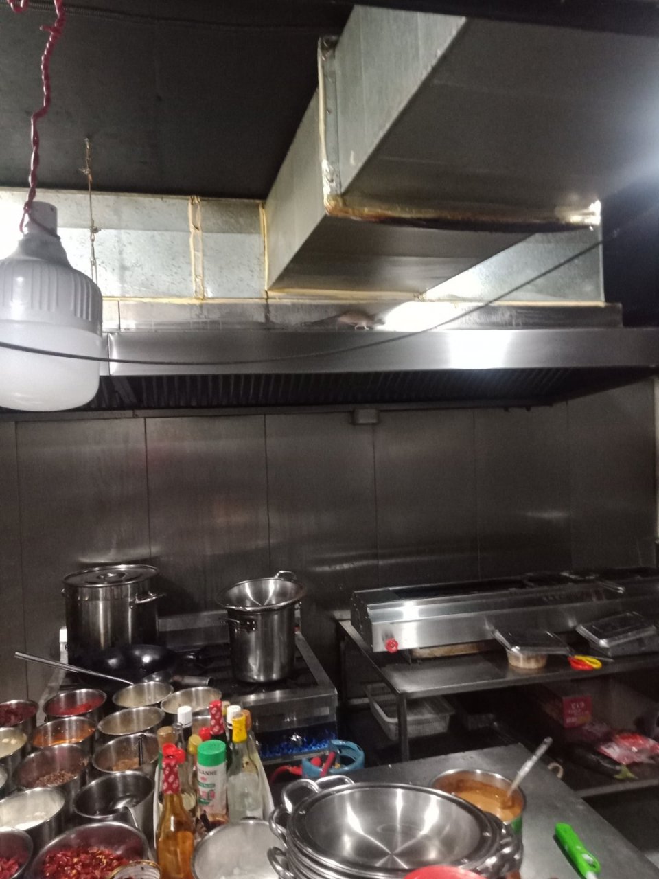 铜川新区小蒙烧烤厨房老鼠多,员工都不在店吃饭,你们还敢不敢去,老板