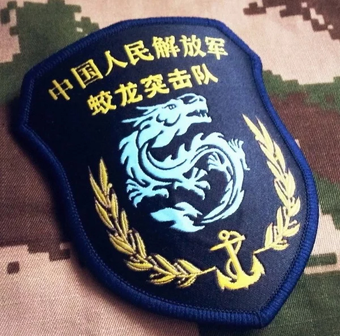 蛟龙突击队是中国一支特种部队.