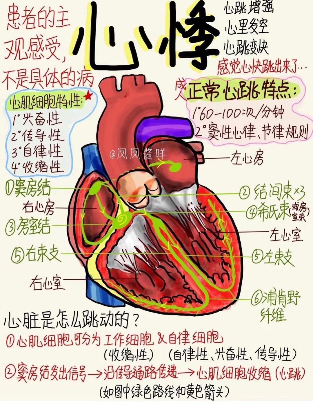 小飞今天讲的内容是:心悸,希望大家可以抽个时间出来