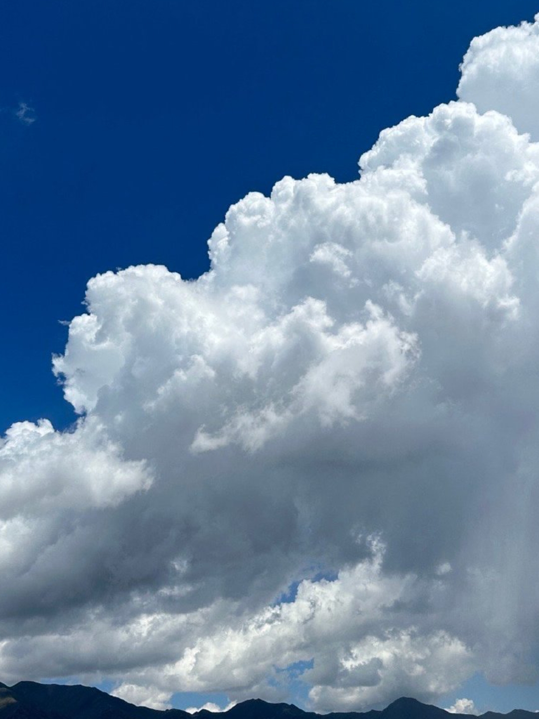 今天的天空格外晴朗,仿佛是上天给我送来的礼物.