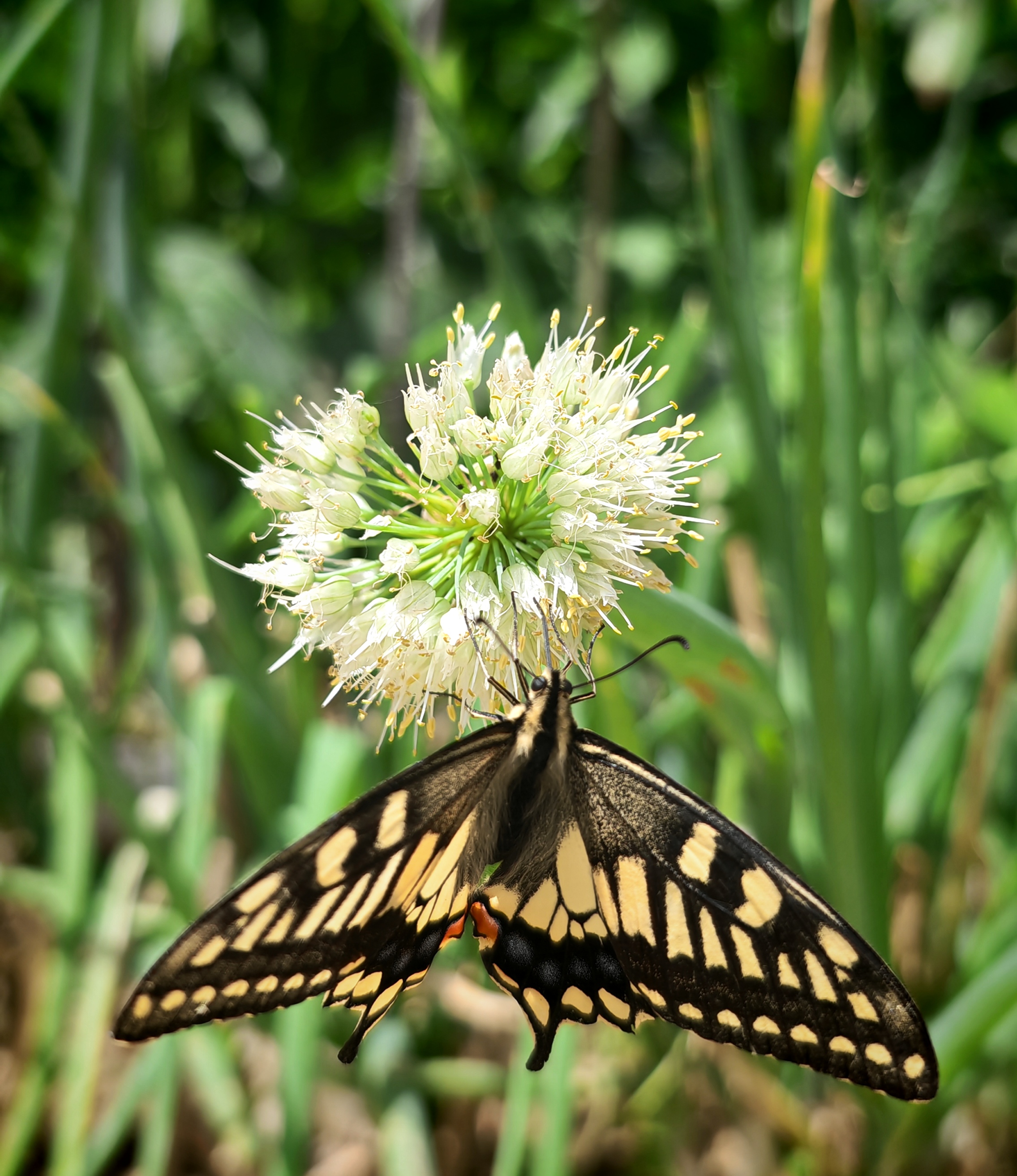 人生一世多圆缺 艰难之中渡岁月 孤舟独木迎风浪 众嘲单帆渡风雪