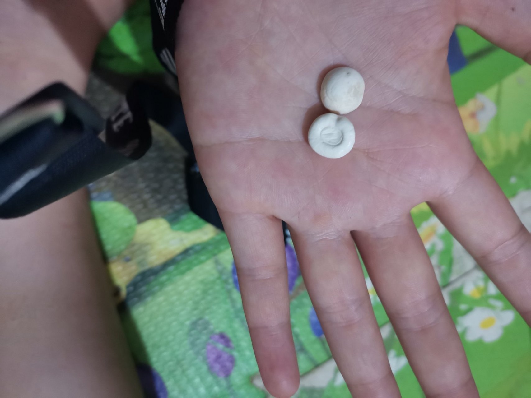 龙虾钙石哪里有收购的