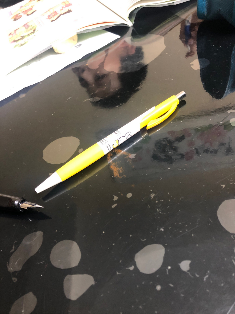 二十年后的家乡,成了花草树木的世界.