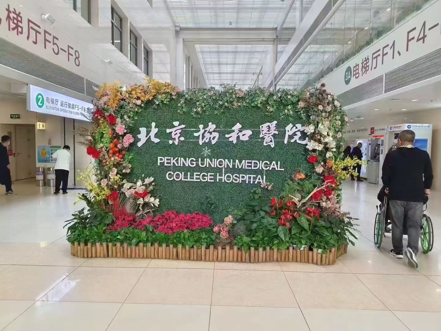 包含北京大学第一医院陪诊协助挂号覆盖北京全三甲的词条