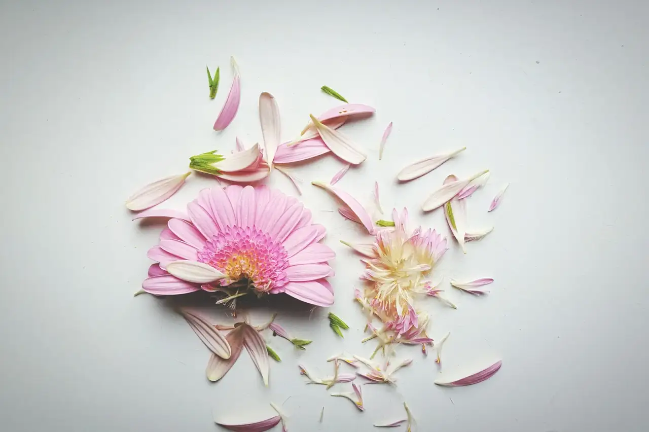 让我困扰好久