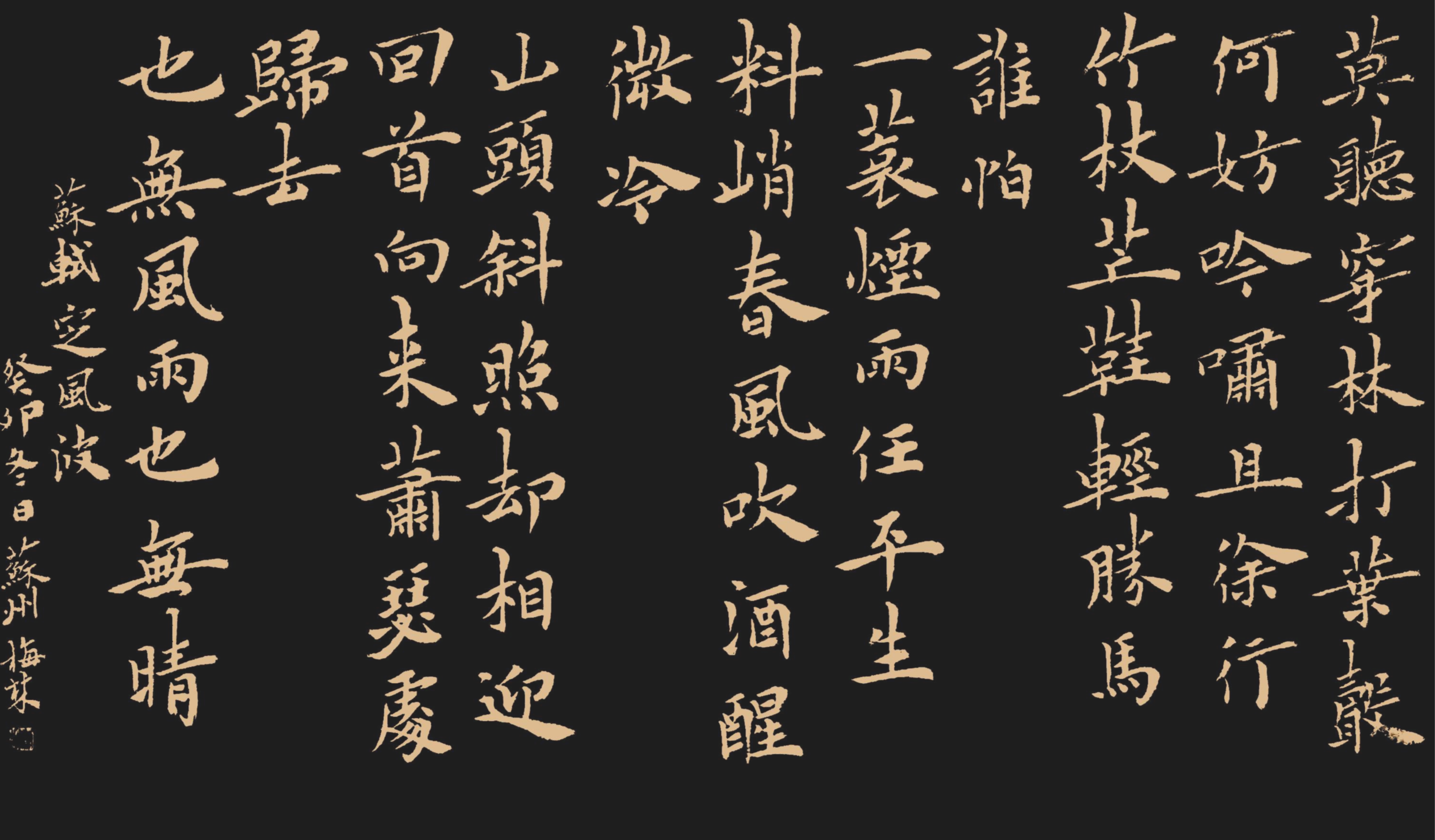 苏轼这首定风波真不错 再写一遍