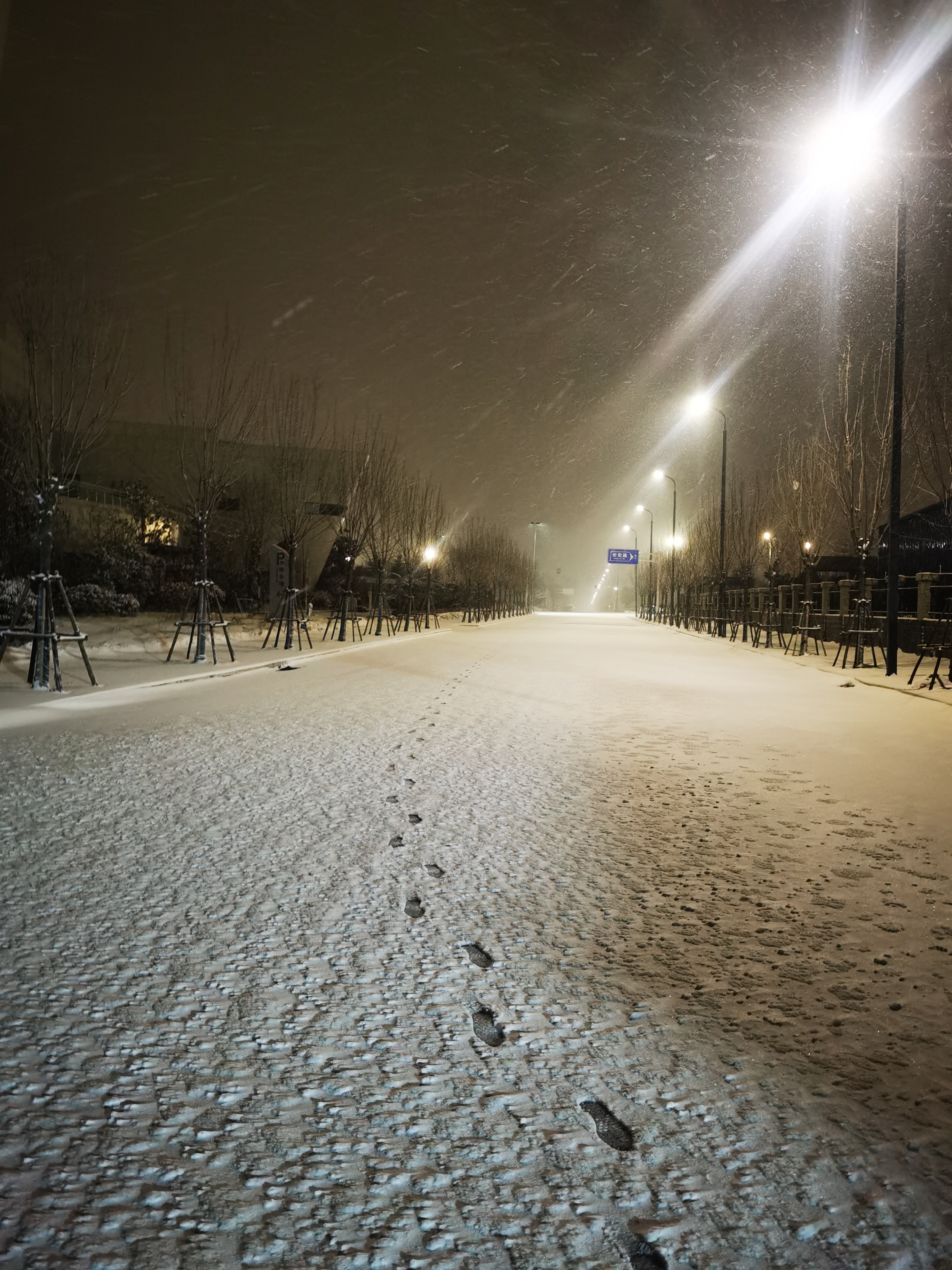 大雪 冬天的夜晚