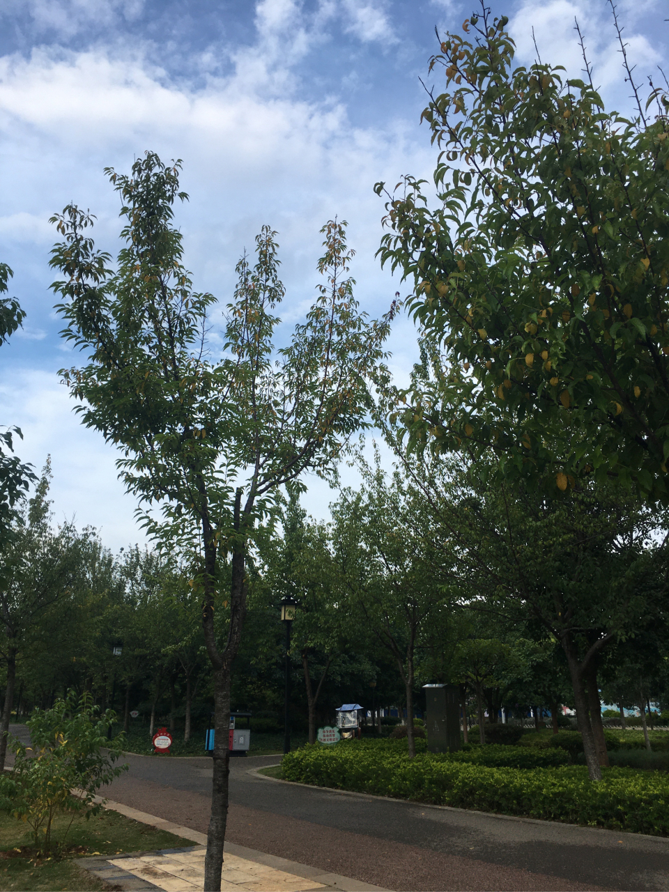 一个破碎的家庭,儿子却为母亲争光(原创) 读书可以改变命运,甚至一个