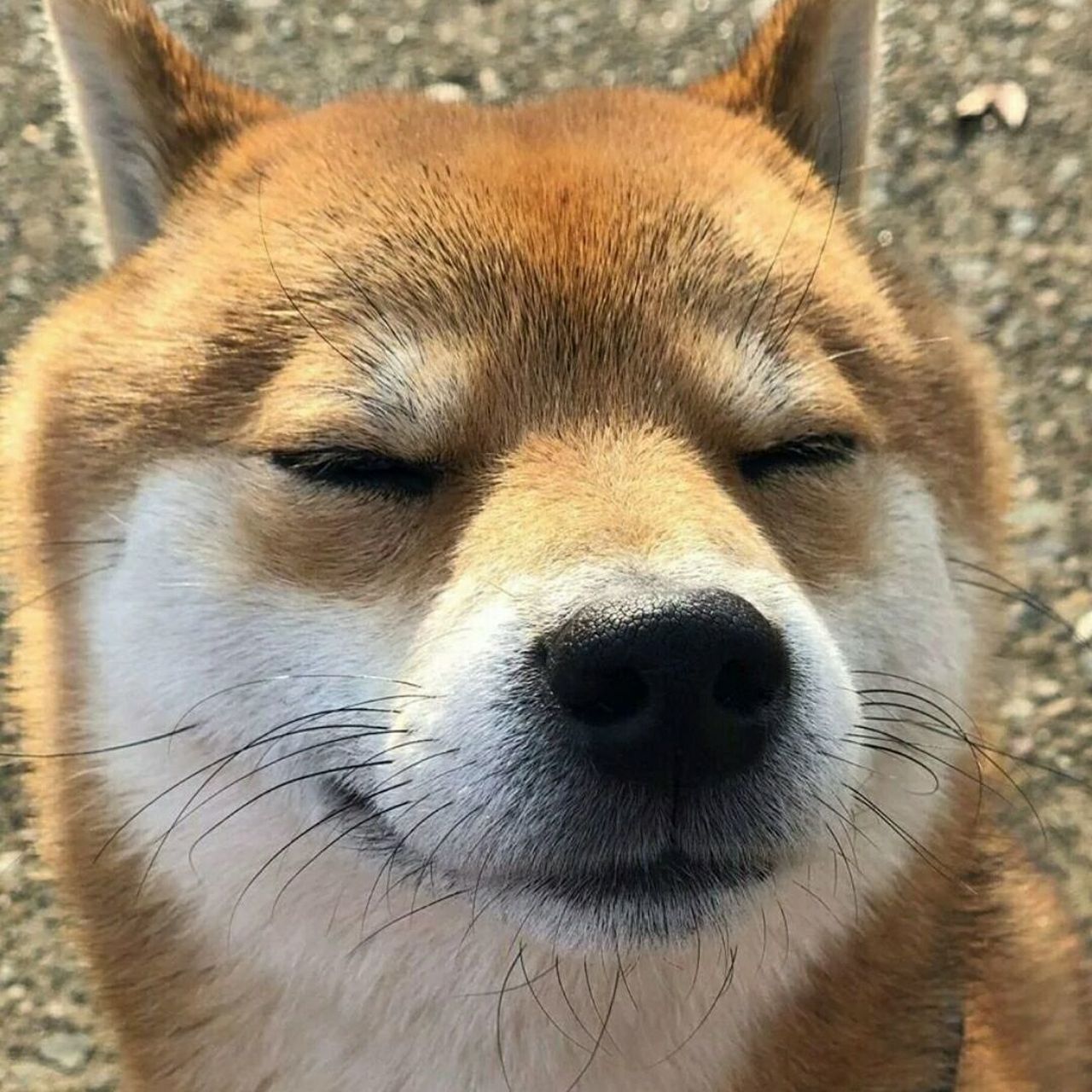 请问我该怎么办,没有锁定是否会有影响 大学还能被录取嘛