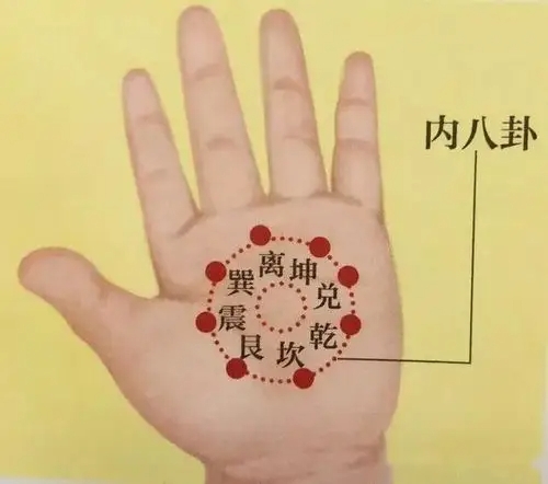 小儿推拿中的八卦穴位于手掌面,以掌心为圆心画圆,半径约三分之二处